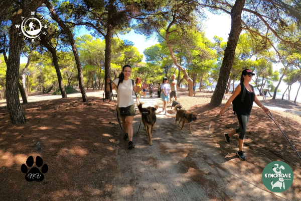 Trekking With Your Dog  